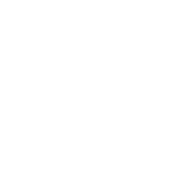 Auto Accessories