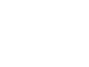Pride